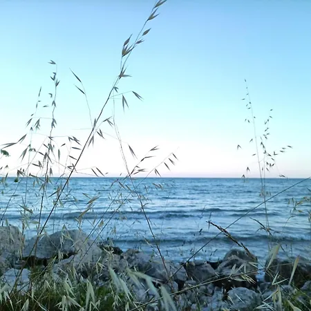Black Sea Апартамент *