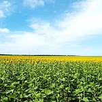 Black Sea Apartment Balchik