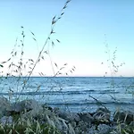 Black Sea Apartment *