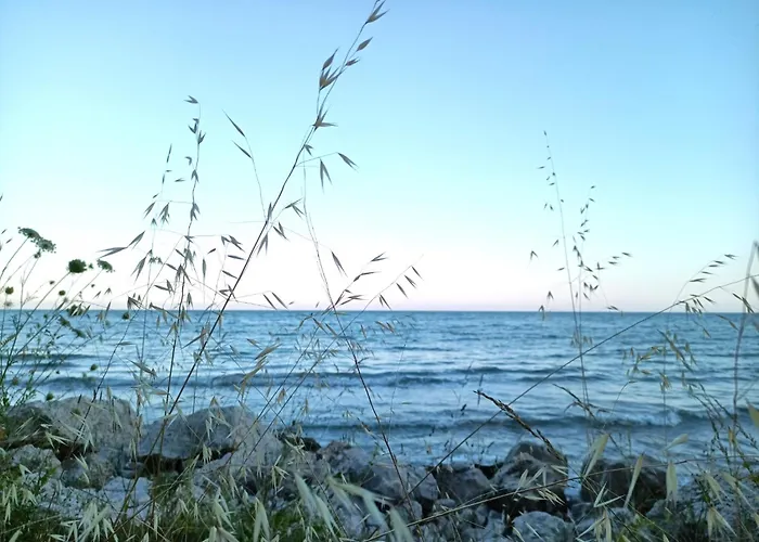 Black Sea Apartment *